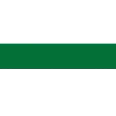 Кромка ПВХ 0,4*19 мм 9561 Зеленый Оксид  GP-Plast