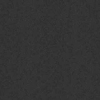 3009